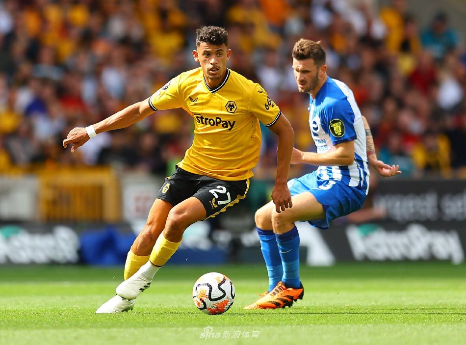 队的忠实球 队的忠实球